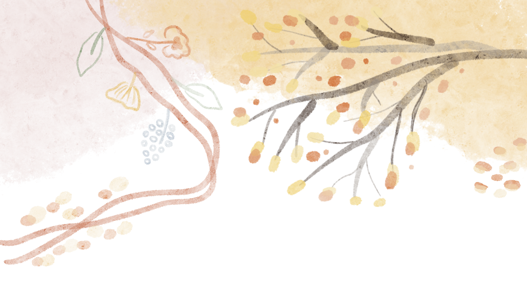 声韵芳华·逐梦远航 